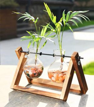 Table Top Planter(Double Glass Pot)
